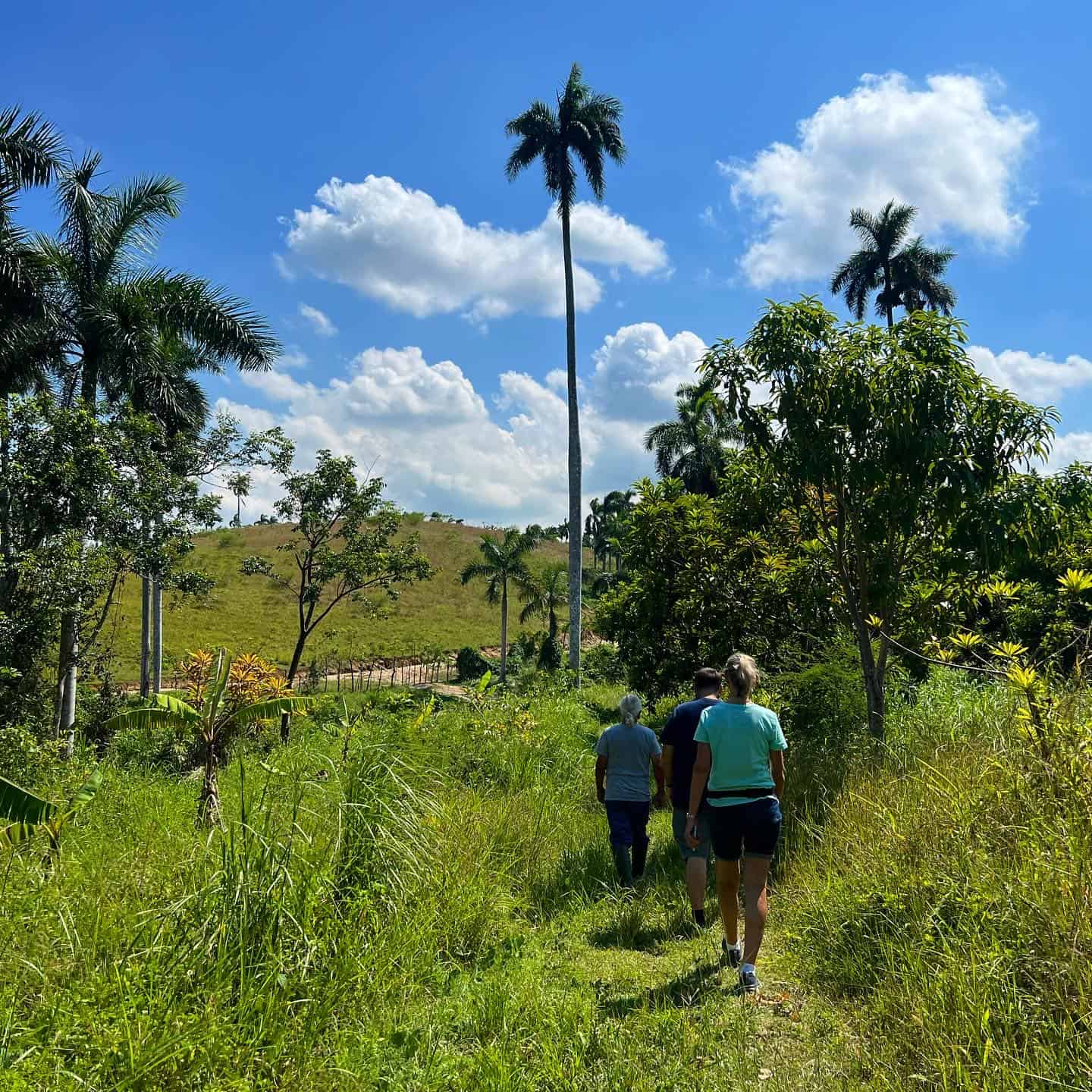 Havana Music Tours guests walking through Finca Tungasuk during a September 2022 visit