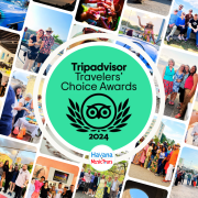 Havana Music Tours - best cuba cultural tour - Tripadvisor Traveler's Choice Award 2024