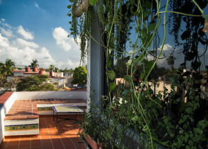 Havana Music Tours-Luxury Accommodations Casa Particular 3