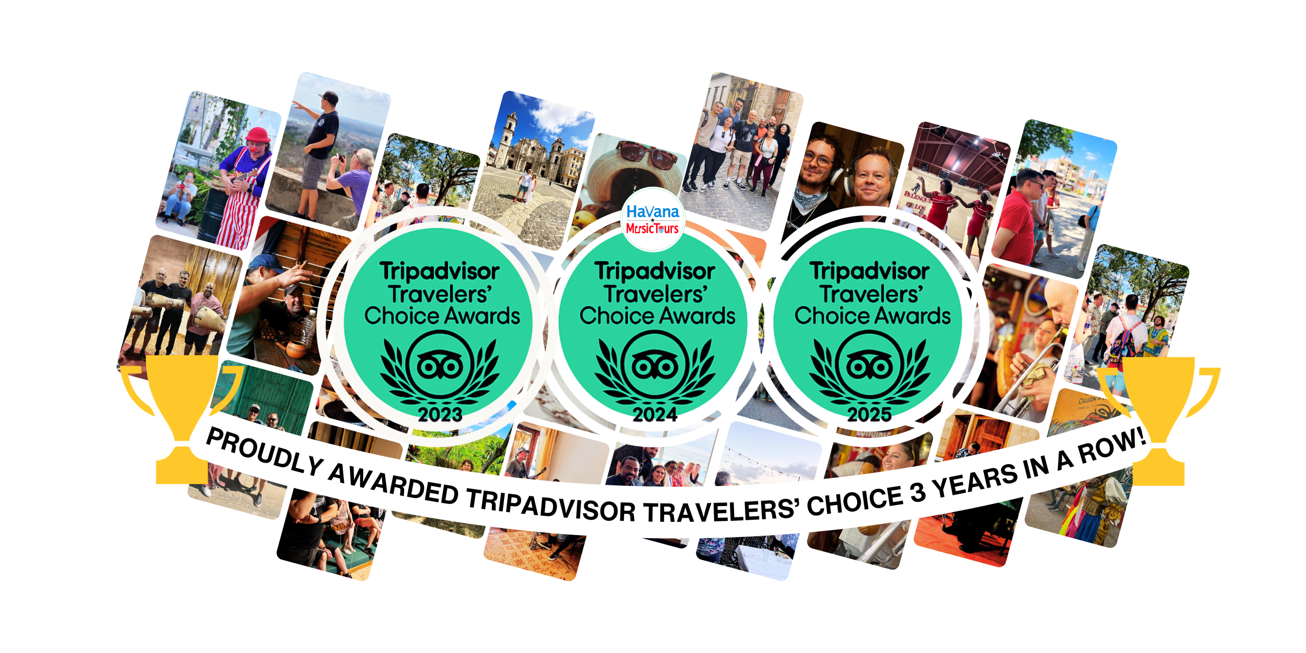 traveler's choice tripadvisor 2023-2024-2025Collage (Medium Banner (US)