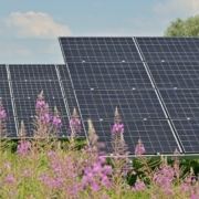 solar panels farm cuba